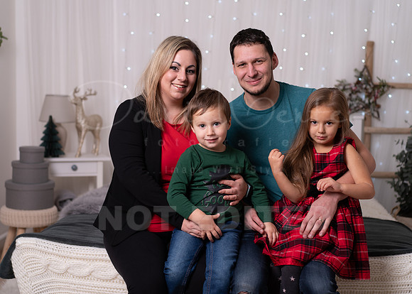 xmas-113