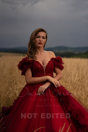 scarlet-82