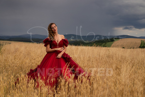 scarlet-75