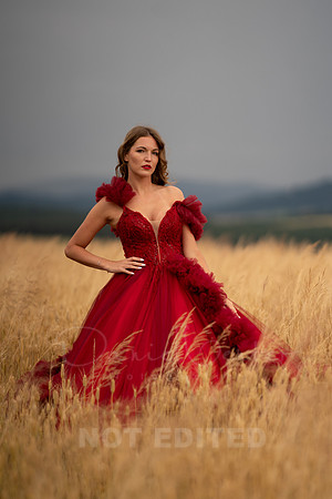 scarlet-71