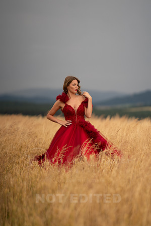 scarlet-70