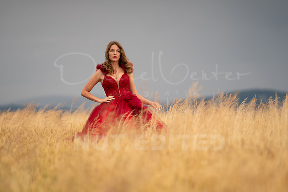 scarlet-60