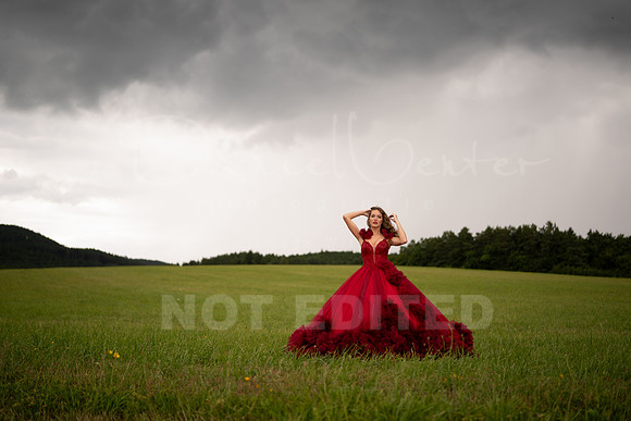 scarlet-19