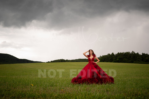 scarlet-18