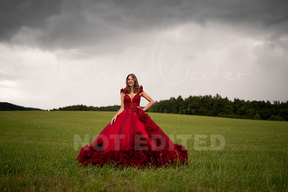 scarlet-16