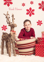 xmas1-23