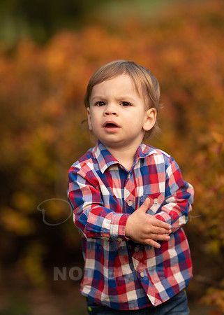 ferbas-123