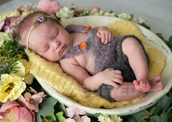 moravka-58
