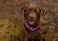 janeck-123-Edit