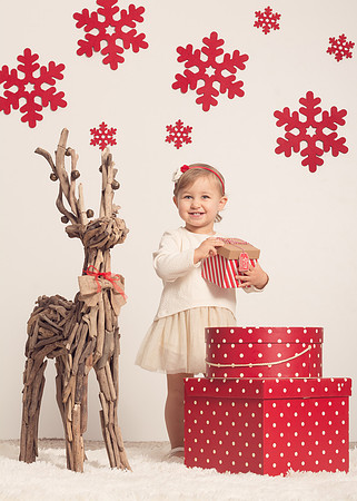 xmas1-29
