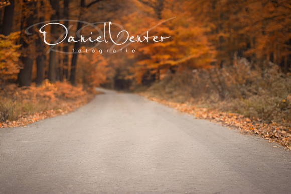 autumn1