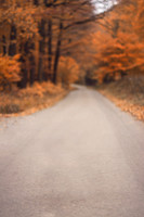 autumn2