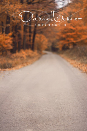 autumn2