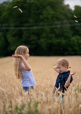 petlis-75
